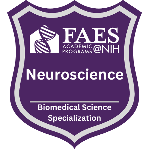 Neuroscience